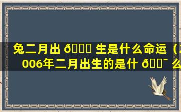 兔二月出 🐛 生是什么命运（2006年二月出生的是什 🐯 么命运）